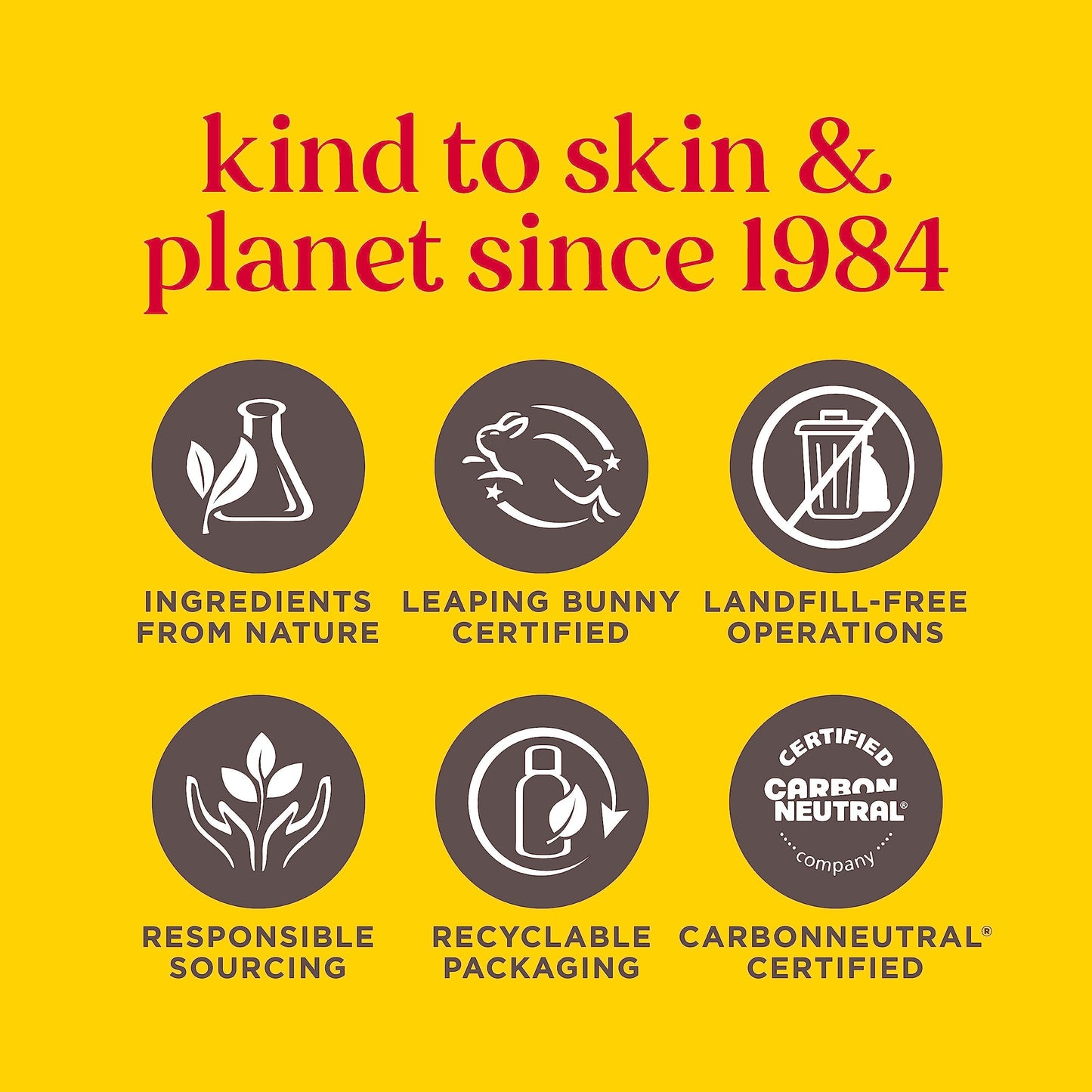 Burt's Bees Lip Balm - Strawberry, Lip Moisturizer With Responsibly Sourced Beeswax, Tint-Free, Natural Origin Conditioning Treatment, 2 Tubes, 0.15 oz.