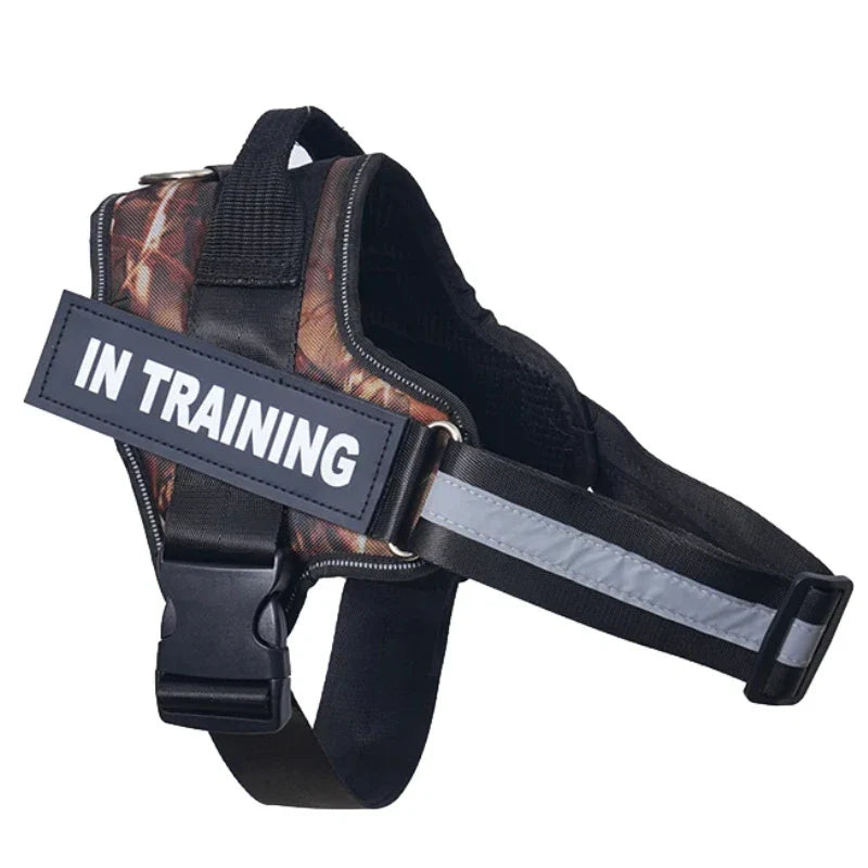 Personalized Reflective No-Pull Harness Ask ChatGPT