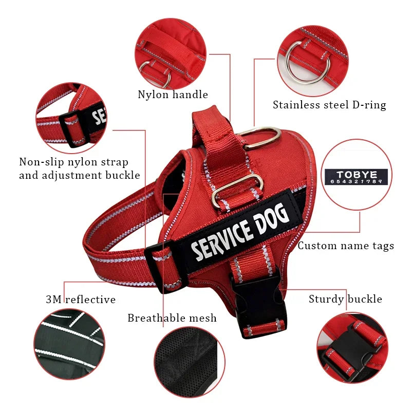 Personalized Reflective No-Pull Harness Ask ChatGPT