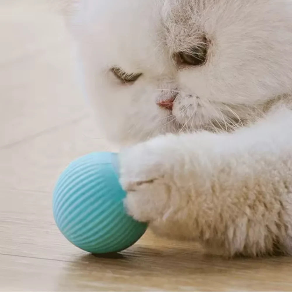 Interactive Electronic Cat Ball Toy