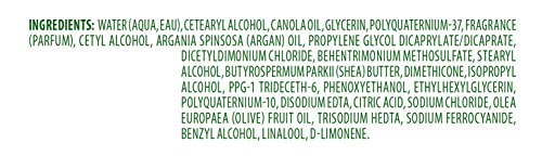 Cantu Leave-In Conditioning Repair Cream with Argan Oil, 16 oz (Packaging May Vary) (Pack of 2)