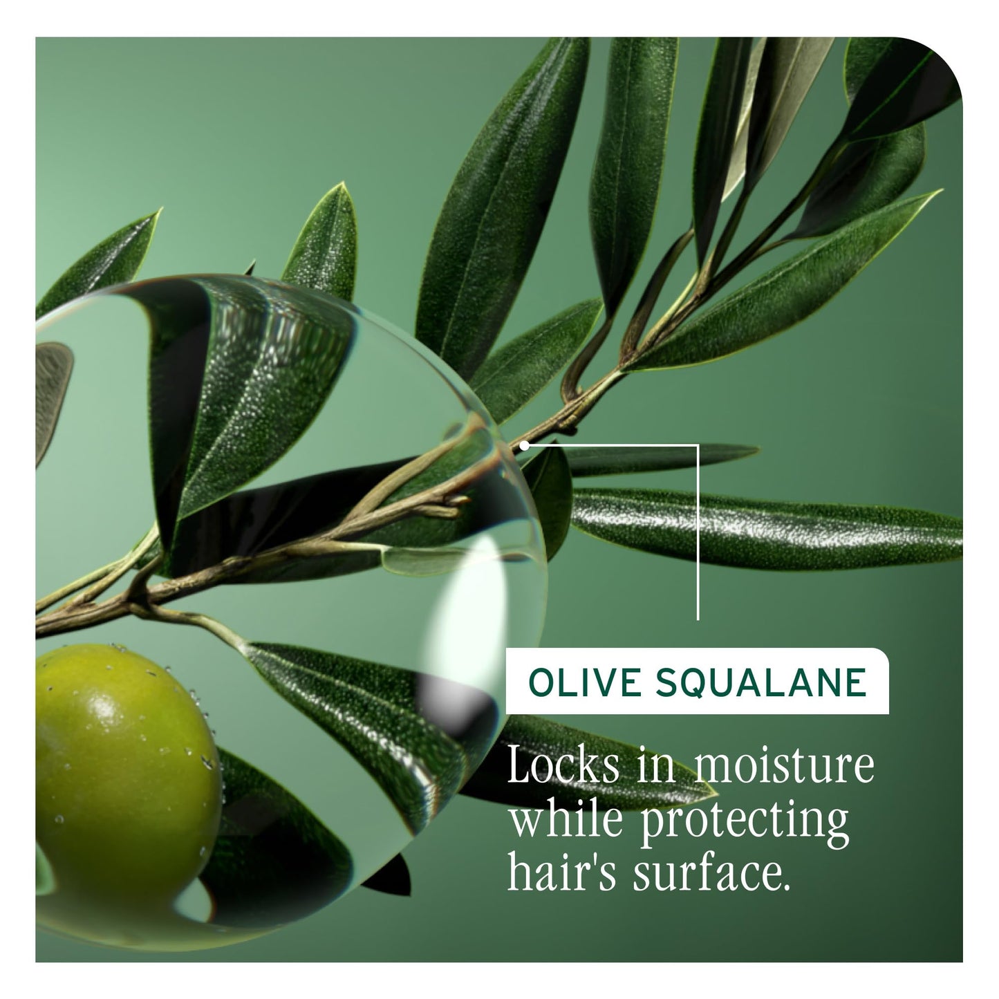 Biolage Strength Recovery Leave-In Conditioner Spray | Hair Repairing Heat Protectant & Detangler | Strengthens & Prevents Damage | For Damaged & Sensitized Hair | Vegan | Cruelty-Free
