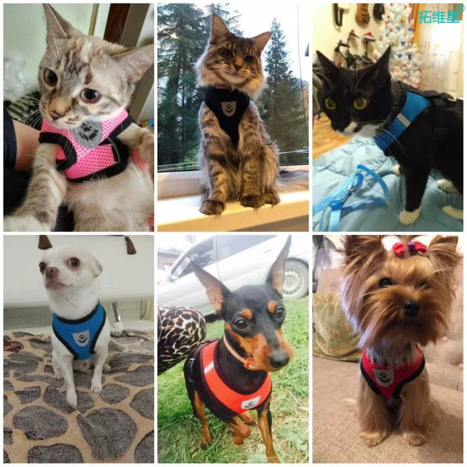 Breathable Mesh Pet Harness Set