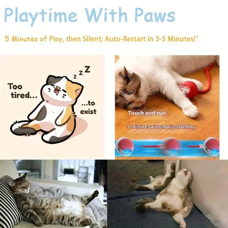 Rechargeable Interactive Cat Ball Toy