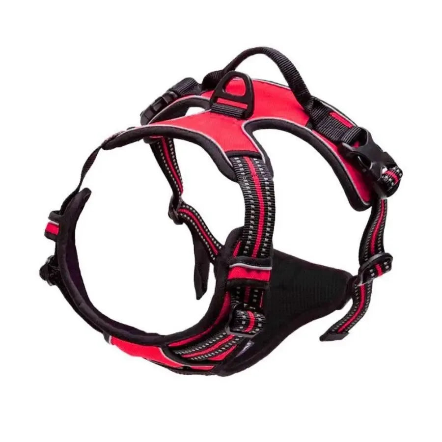 Leather Dog Harness Collar Set