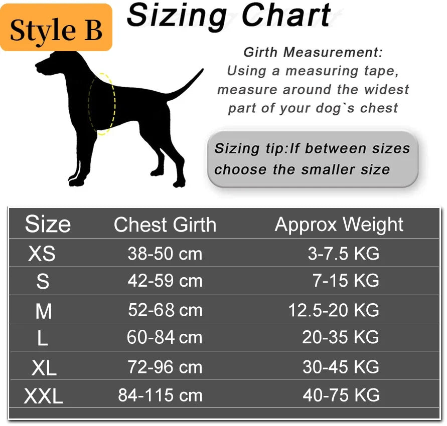 Personalized Reflective No-Pull Harness          Ask ChatGPT