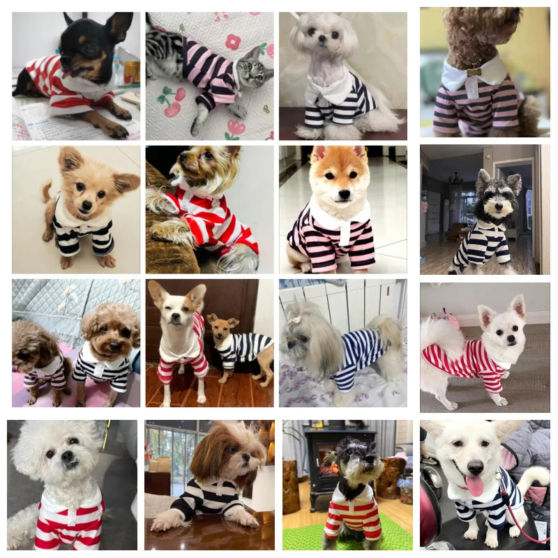 DOGGYZSTYLE Summer Cooling Polo Dog Shirt