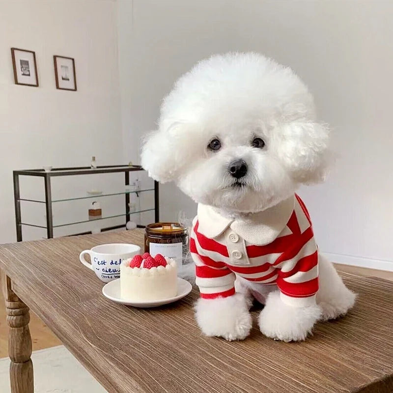 DOGGYZSTYLE Summer Cooling Polo Dog Shirt