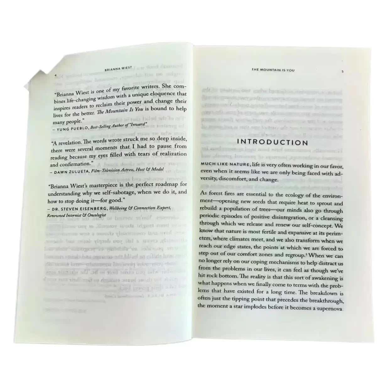 【IN STOCK】The Mountain Is You: Transforming Self-Sabotage Into Self-mastery English Books