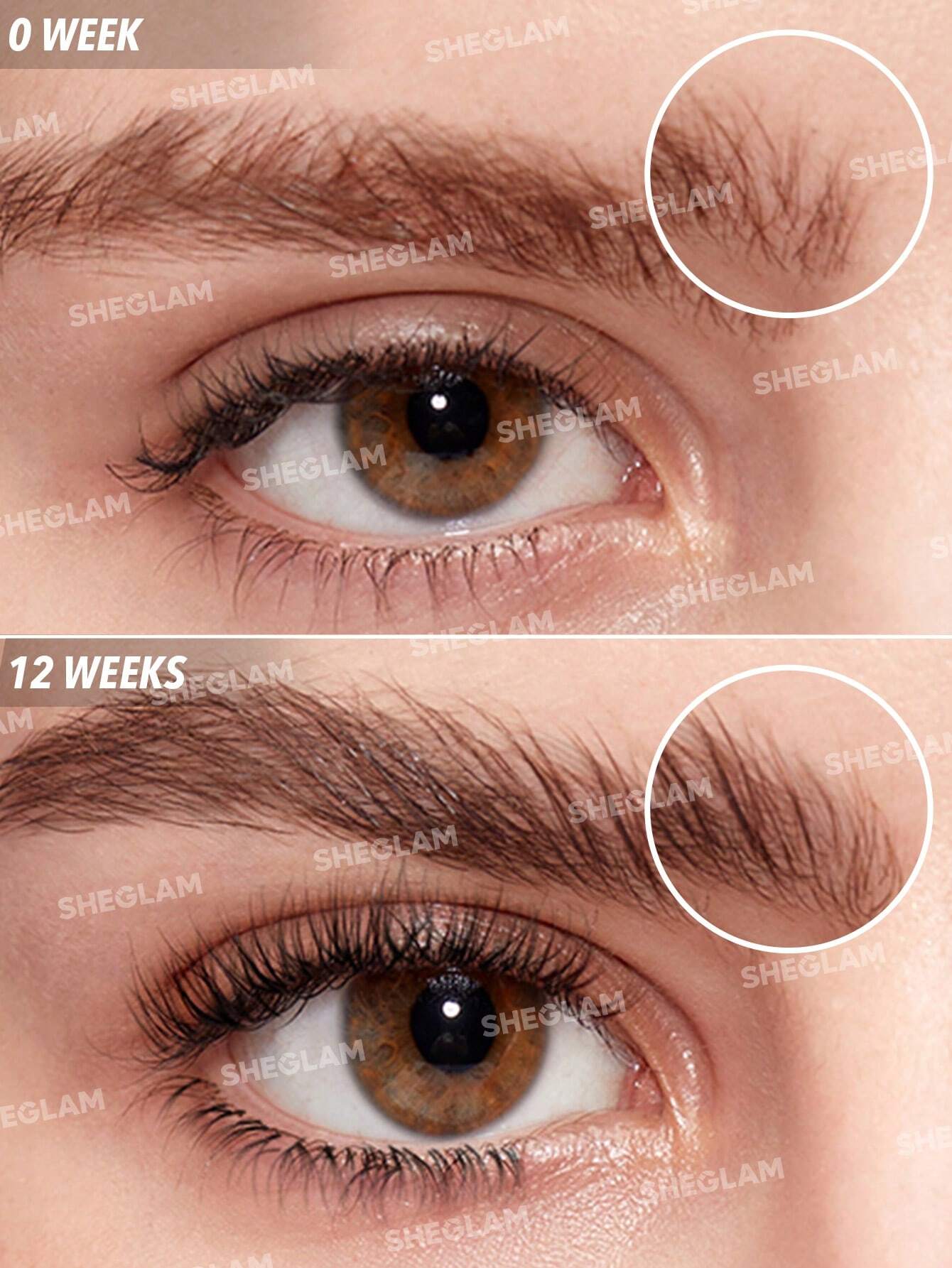 SHEGLAM Gro-Pro Lash Brow Serum