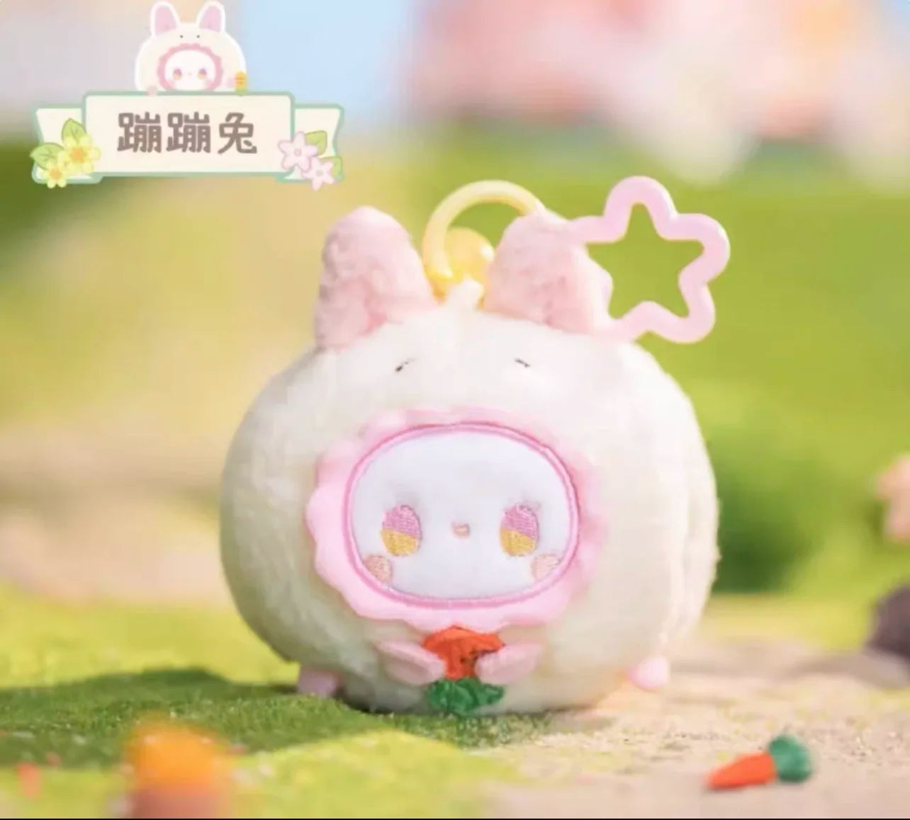 PopMart Labubu Emma Rua Rua Zoo Mystery Box
