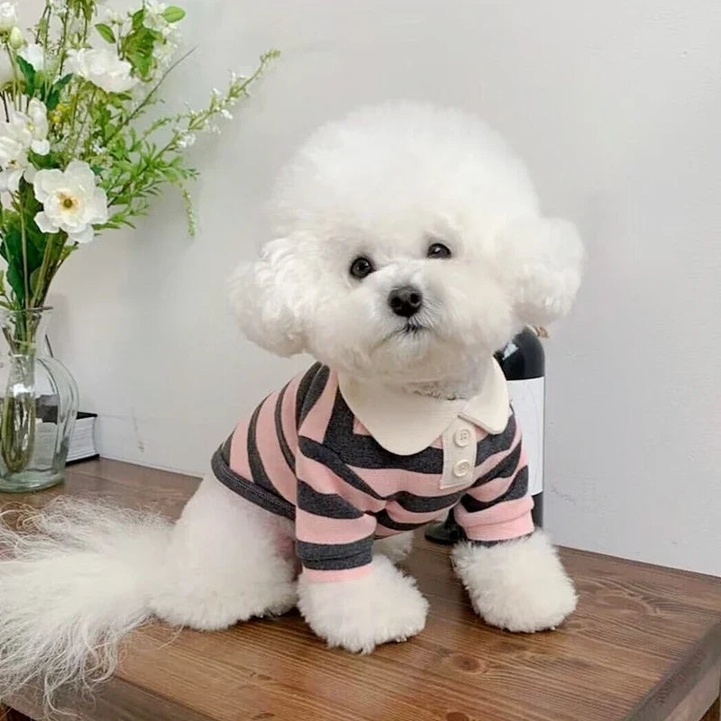 DOGGYZSTYLE Summer Cooling Polo Dog Shirt