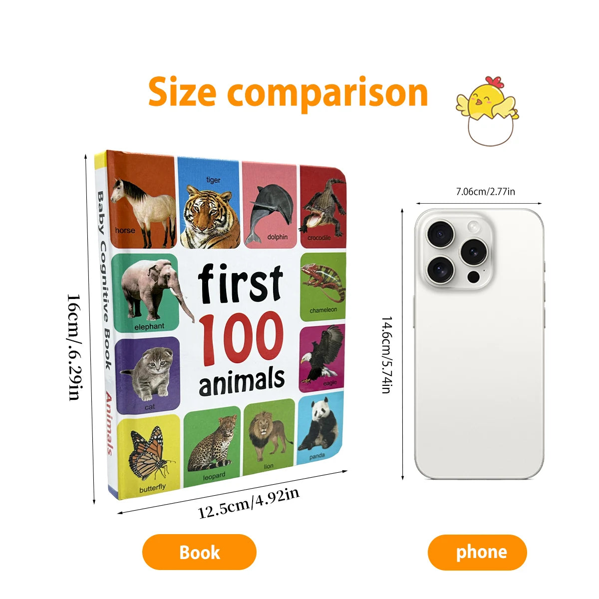 English Children's Cognitive Learning Book