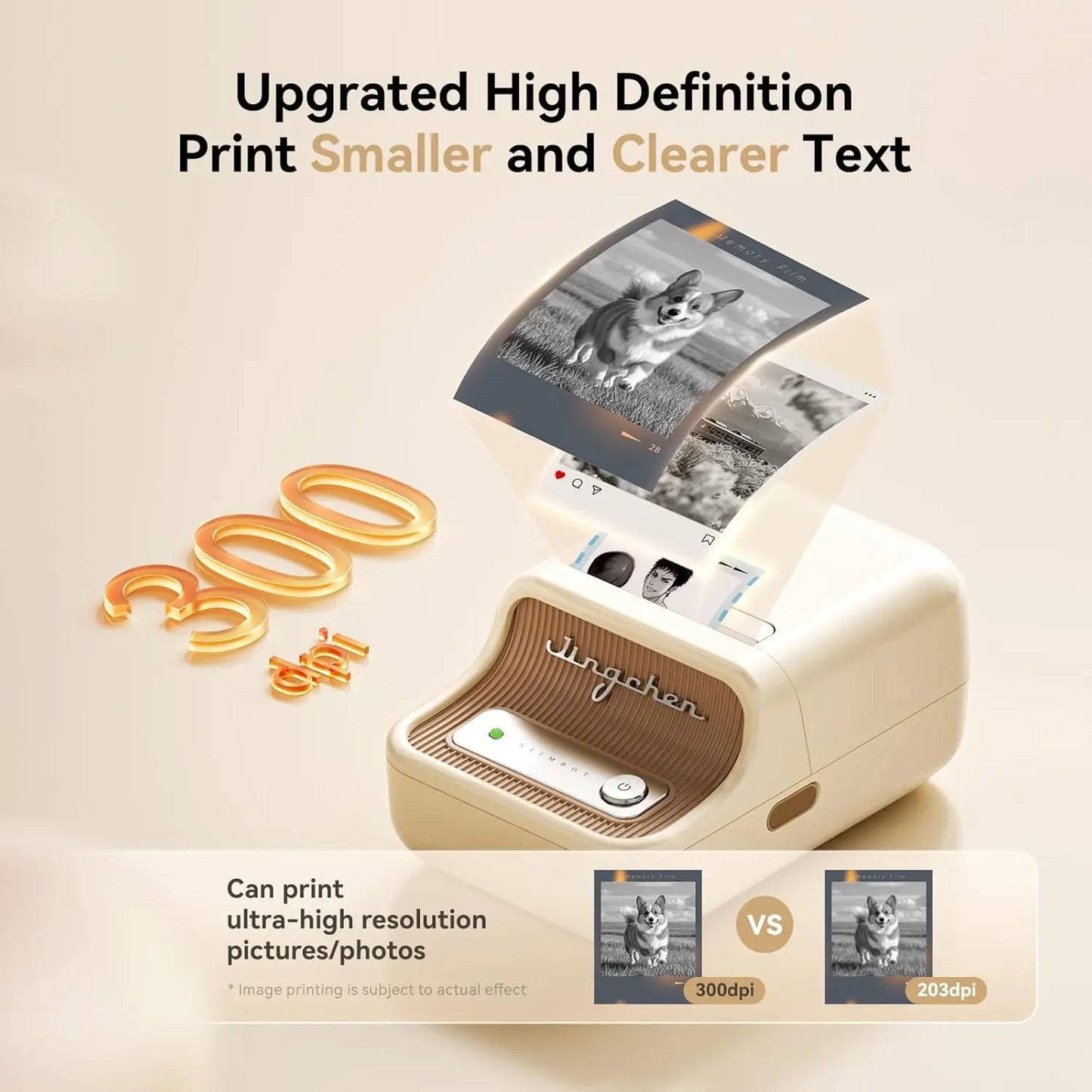 Niimbot B21/B21Pro Label Printer
